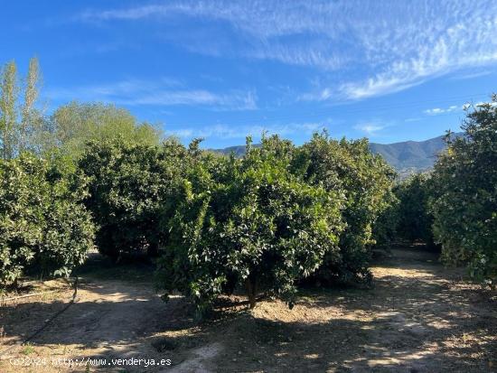 Finca de recreo en el Valle de Lecrin - GRANADA