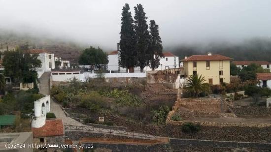  Terreno en venta en Vilaflor - SANTA CRUZ DE TENERIFE 