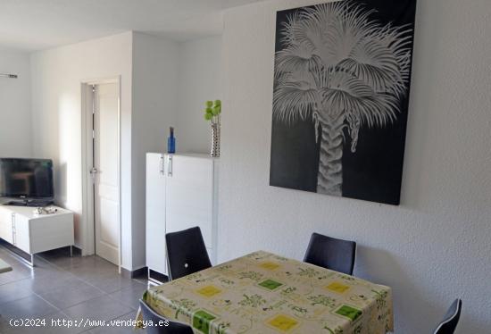 Apartamento en Los Cristianos - SANTA CRUZ DE TENERIFE