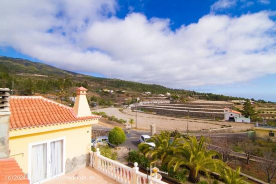 Un viñedo inmobiliario con una villa de lujo de 3 dormitorios en Cruz de Tea - SANTA CRUZ DE TENERI