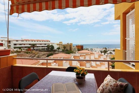  Apartamento en Torviscas Bajo - SANTA CRUZ DE TENERIFE 