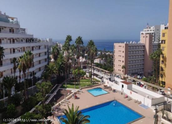  Apartamento en Playa de Las Americas - SANTA CRUZ DE TENERIFE 