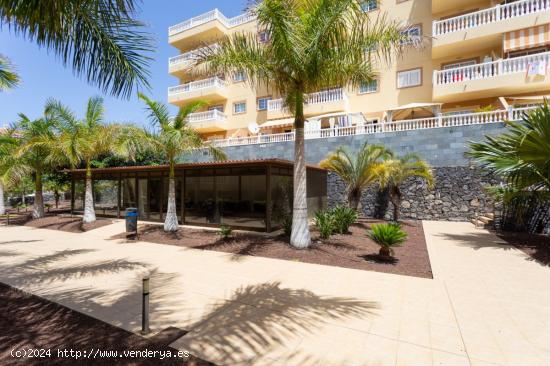 Apartamento en Palm Mar - SANTA CRUZ DE TENERIFE