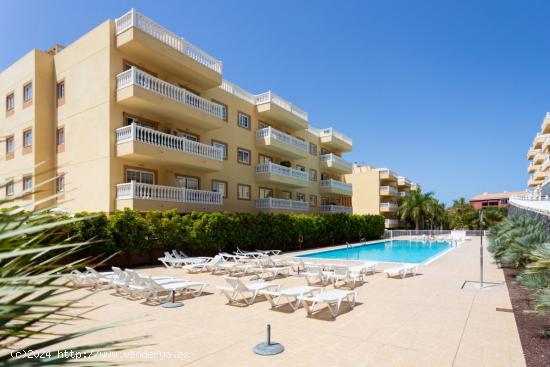 Apartamento en Palm Mar - SANTA CRUZ DE TENERIFE