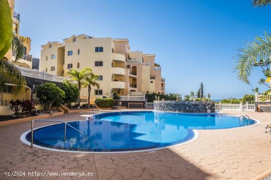  Apartamento de dos habitaciones en Los Cristianos - SANTA CRUZ DE TENERIFE 