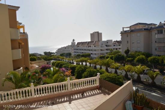 Apartamento de dos habitaciones en Los Cristianos - SANTA CRUZ DE TENERIFE