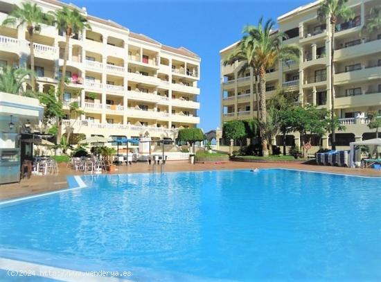  Apartamento en Popular Resort - Los Cristianos - SANTA CRUZ DE TENERIFE 