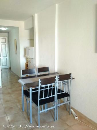 Apartamento en Popular Resort - Los Cristianos - SANTA CRUZ DE TENERIFE