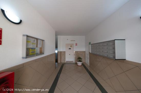 Apartamento en Los Cristianos - SANTA CRUZ DE TENERIFE