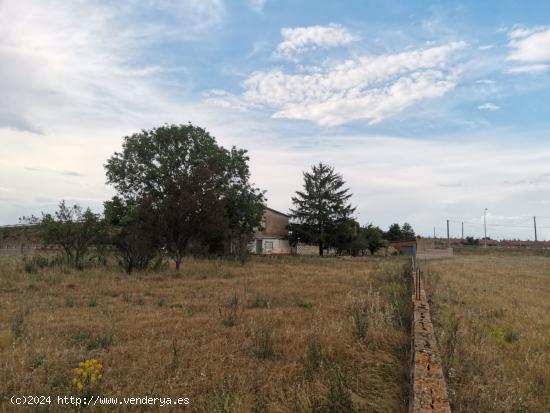 FINCA EN VENTA EN ONZONILLA - LEON