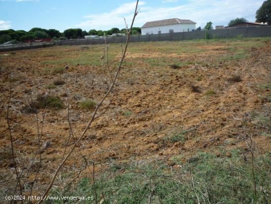 Terreno en el Pinar de la Villa cercano a la Ermita Virgen de Regla.... - CADIZ