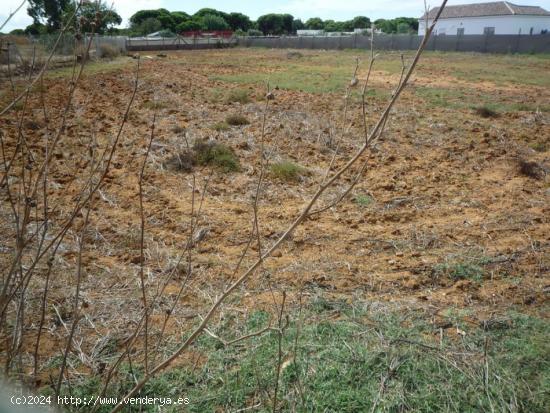 Terreno en el Pinar de la Villa cercano a la Ermita Virgen de Regla.... - CADIZ