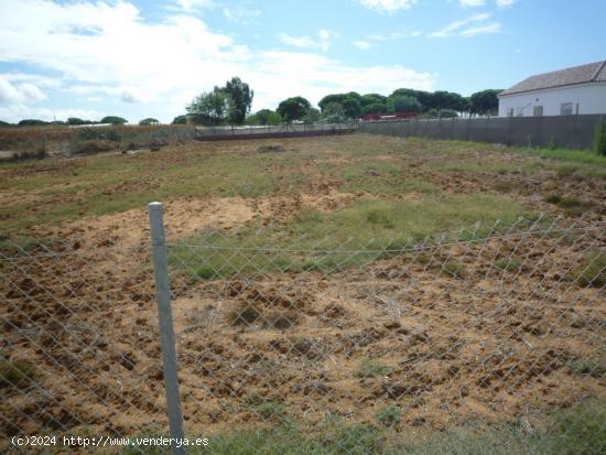 Terreno en el Pinar de la Villa cercano a la Ermita Virgen de Regla.... - CADIZ