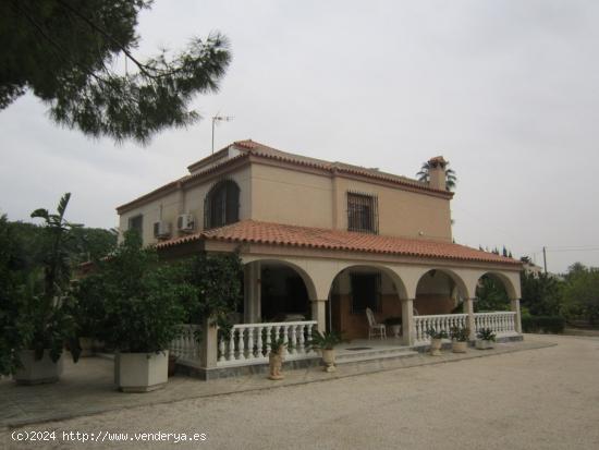 MAGNIFICO CHALET EN ELCHE EN EL CAMINO VIEJO DE SANTA POLA - ALICANTE