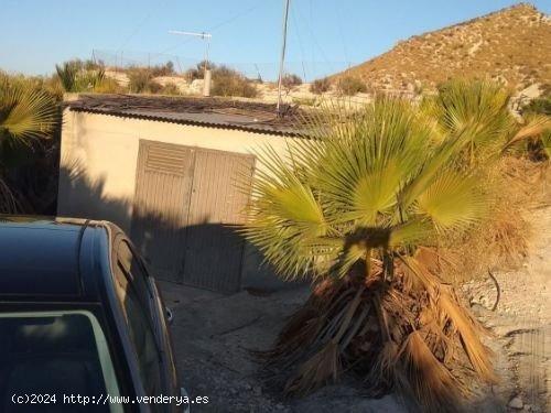 TERRENO con BALSA en Las CHinchillanas – FORTUNA (MURCIA) - MURCIA