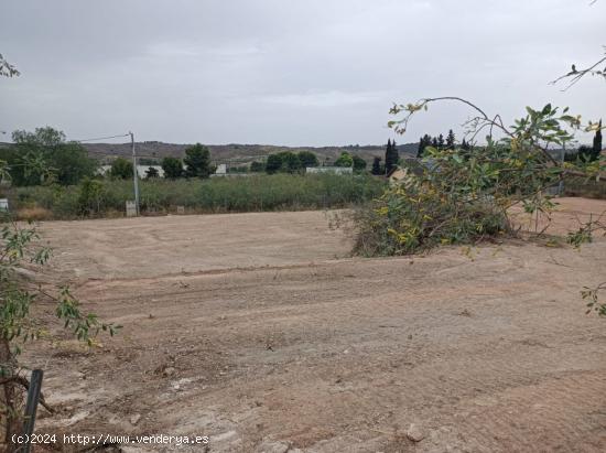 Terreno en venta en Javalí Nuevo - MURCIA