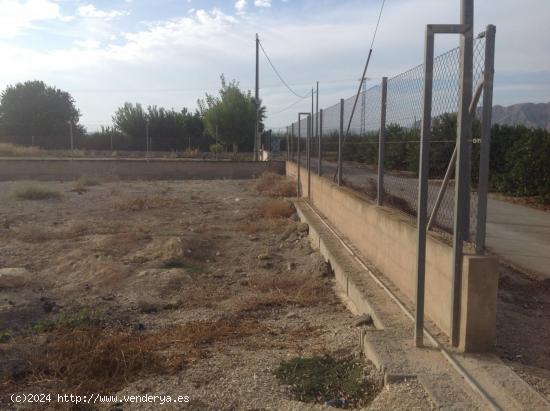 PARCELA EN EL MOJÓN - BENIEL (MURCIA) - MURCIA