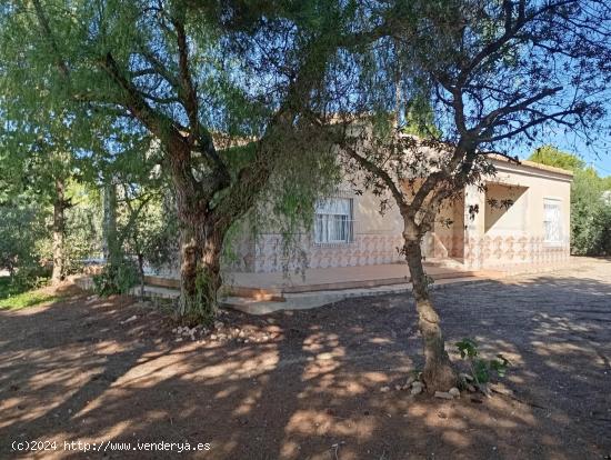 Casa rústica situada en Avileses - MURCIA