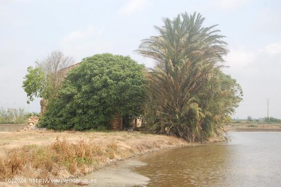 Finca rústica en Amposta - TARRAGONA