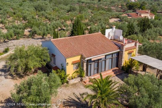  Finca rústica en L' Ampolla - TARRAGONA 