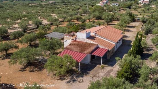 Finca rústica en L' Ampolla - TARRAGONA