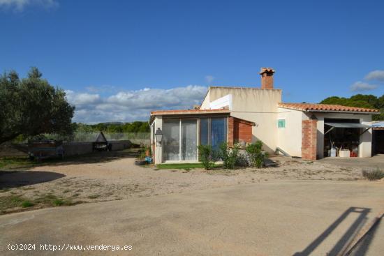 Finca rústica con casita en la zona del Perelló. - TARRAGONA