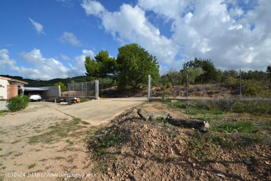 Finca rústica con casita en la zona del Perelló. - TARRAGONA