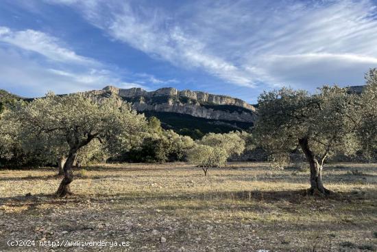 Finca rústica con casa de campo a reformar en Prat de Compte - TARRAGONA