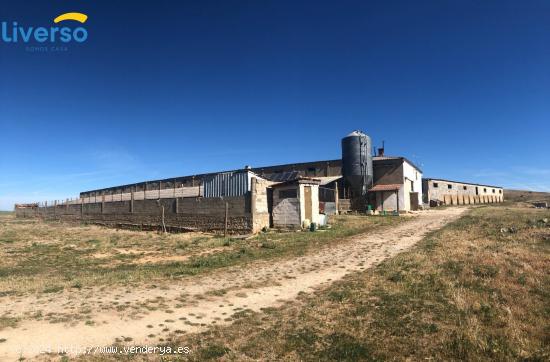  GRANJA DE OVEJAS EN FUNCIONAMIENTO - BURGOS 