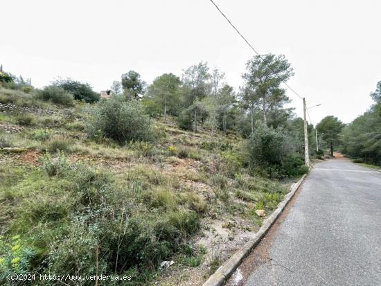 TERRENO EN EL PRIORAT DE LA BISBAL - TARRAGONA