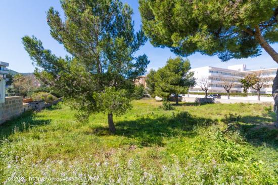 Terrenos urbanos en Cala Rajada - BALEARES