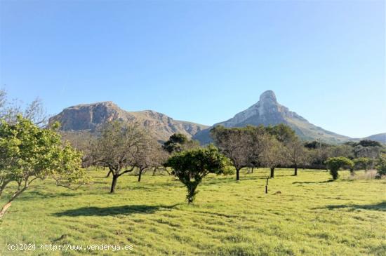  Finca rústica situada entre la Colonia de Sant Pere y S´Estanyol - BALEARES 