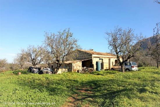 Finca rústica situada entre la Colonia de Sant Pere y S´Estanyol - BALEARES