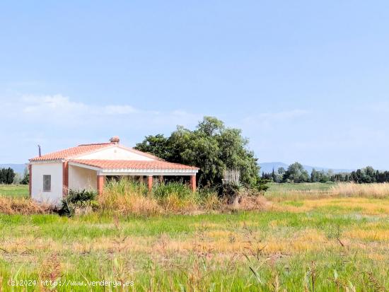  RÚSTICA ARROZAL CON CASA DE CAMPO - TARRAGONA 