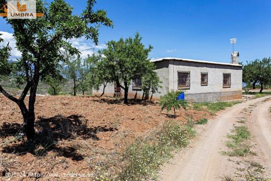  Finca con Almendros Ecológicos y Cortijo de Gran Rentabilidad. - GRANADA 