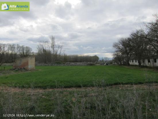 TERRENO RUSTICO - BURGOS