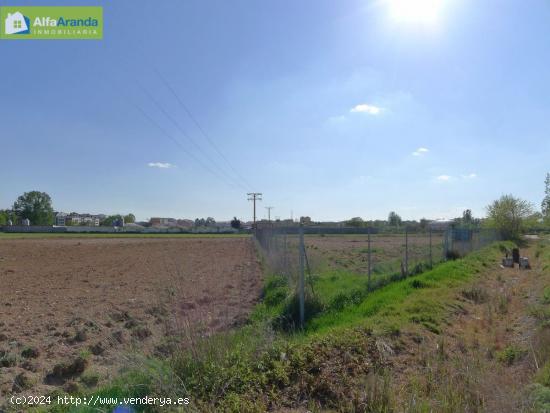 TERRENO RUSTICO - BURGOS