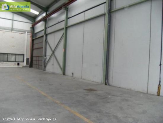 NAVE EN ALQUILER CON POSIBILIDAD DE OPCION DE COMPRA - BURGOS