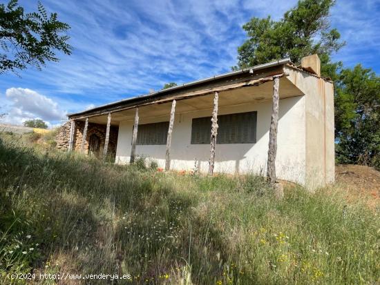 MERENDERO CON BODEGA EN VILLANUEVA DE GUMIEL - BURGOS