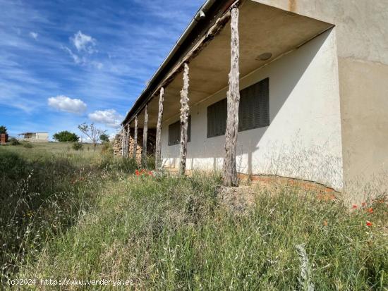 MERENDERO CON BODEGA EN VILLANUEVA DE GUMIEL - BURGOS