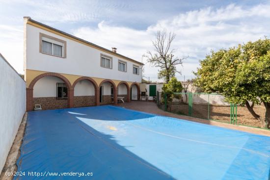  Dos casas en parcela de 724m con huerto y piscina - GRANADA 