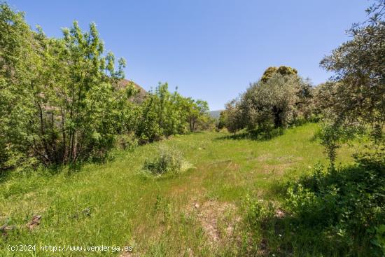 Terreno en venta Guejar Sierra - GRANADA