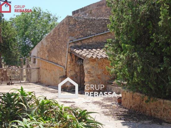 Espectacular finca Rústica para Agroturismo - BALEARES