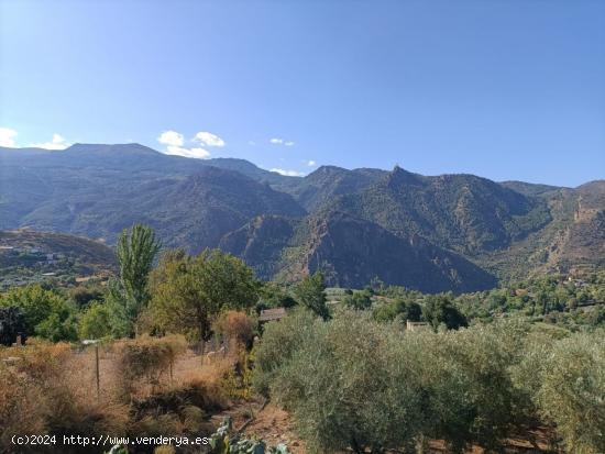 FINCA RUSTICA EN SIERRA NEVADA CASTAJUELOS ALTOS - GRANADA