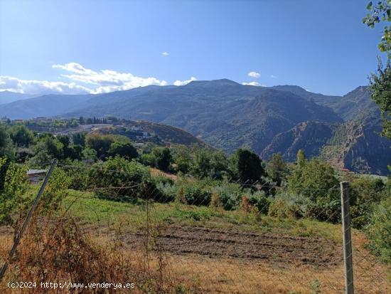 FINCA RUSTICA EN SIERRA NEVADA CASTAJUELOS ALTOS - GRANADA