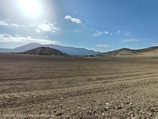 FINCA RUSTICA CERCA DE ANTEQUERA - MALAGA