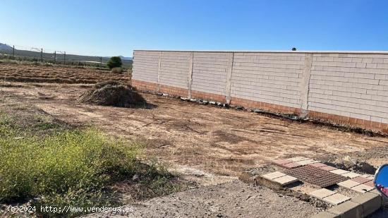 SOLAR EN FUENTE DE PIEDRA PARA CONSTRUIR TU CASA IDEAL¡¡¡ - MALAGA