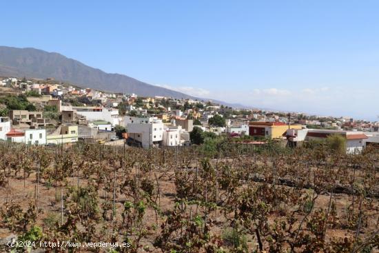 FINCA EN PRODUCCION CON CASA GÜIMAR - SANTA CRUZ DE TENERIFE