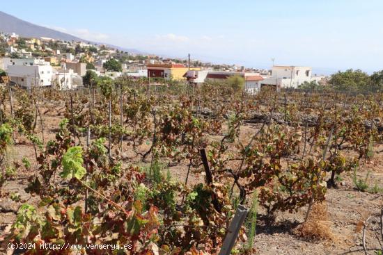 FINCA EN PRODUCCION CON CASA GÜIMAR - SANTA CRUZ DE TENERIFE