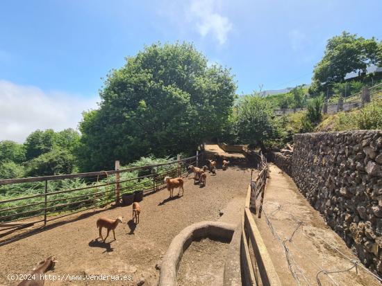 Se Vende en La Orotava - SANTA CRUZ DE TENERIFE